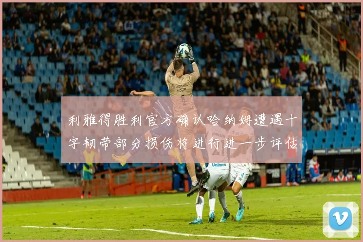 利雅得胜利官方确认哈纳姆遭遇十字韧带部分损伤将进行进一步评估
